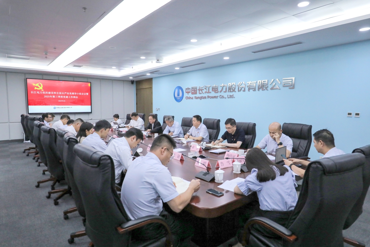長(zhǎng)江電力黨委召開(kāi)黨的建設(shè)和全面從嚴(yán)治黨領(lǐng)導(dǎo)小組會(huì)議